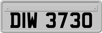 DIW3730
