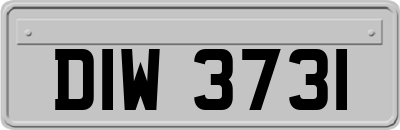 DIW3731