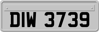 DIW3739