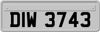 DIW3743