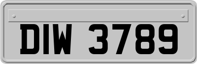 DIW3789