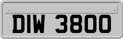 DIW3800