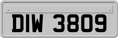 DIW3809
