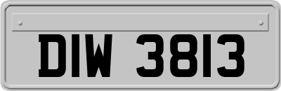 DIW3813