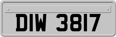 DIW3817