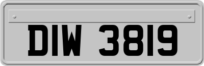 DIW3819