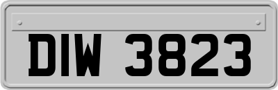 DIW3823