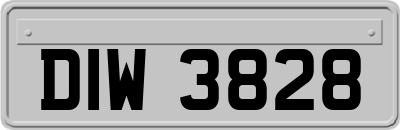 DIW3828