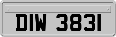 DIW3831