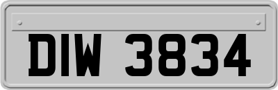 DIW3834