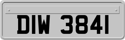 DIW3841
