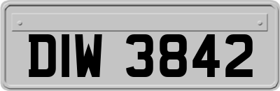 DIW3842