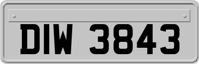 DIW3843