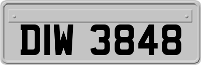 DIW3848