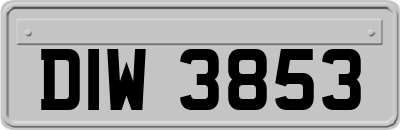 DIW3853