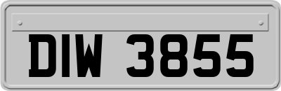 DIW3855