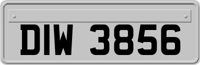 DIW3856
