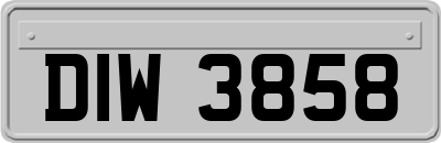 DIW3858