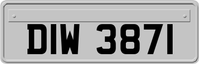 DIW3871