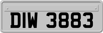 DIW3883