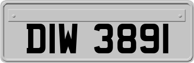 DIW3891
