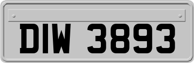 DIW3893