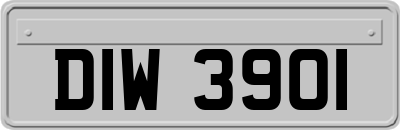 DIW3901