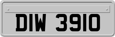 DIW3910