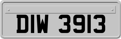 DIW3913