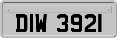 DIW3921