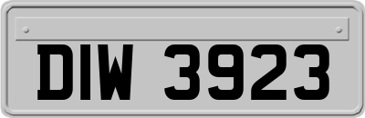 DIW3923