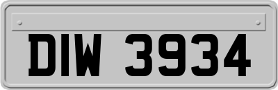 DIW3934