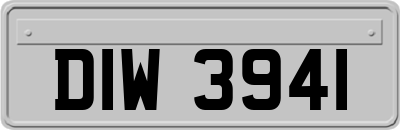 DIW3941