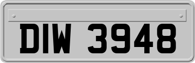 DIW3948