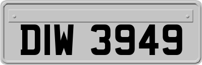 DIW3949