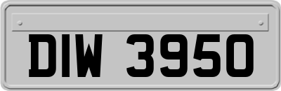 DIW3950