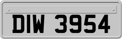 DIW3954
