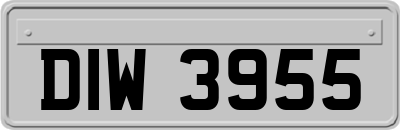 DIW3955