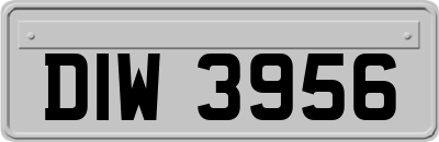 DIW3956
