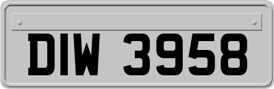 DIW3958