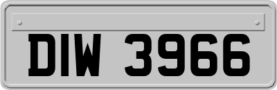 DIW3966