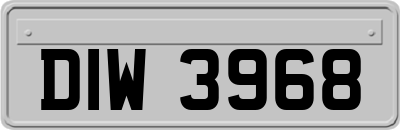 DIW3968