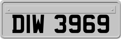 DIW3969