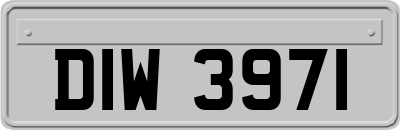 DIW3971