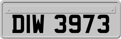 DIW3973