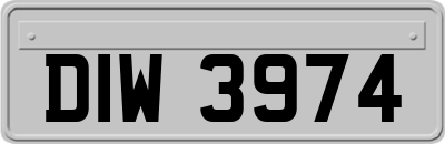 DIW3974