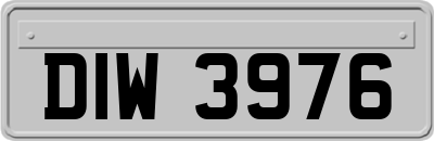 DIW3976