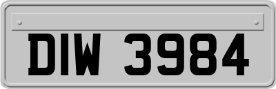 DIW3984