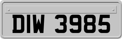DIW3985