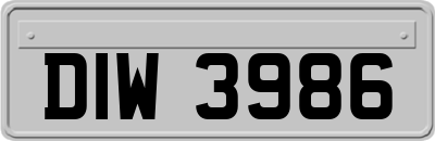 DIW3986